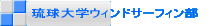 ������w�E�B���h�T�[�t�B����